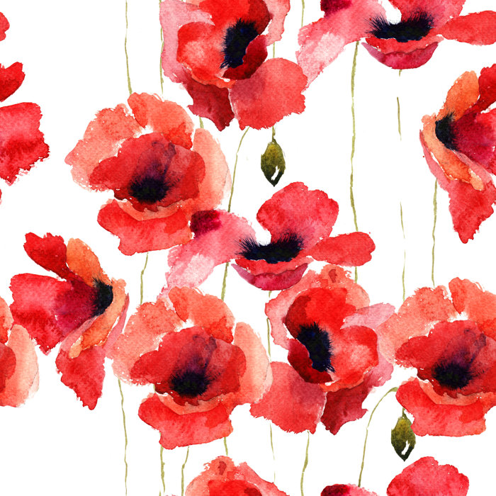 Red Barrel Studio® Heslington Poppy Seamless 10' L x 24" W Peel and